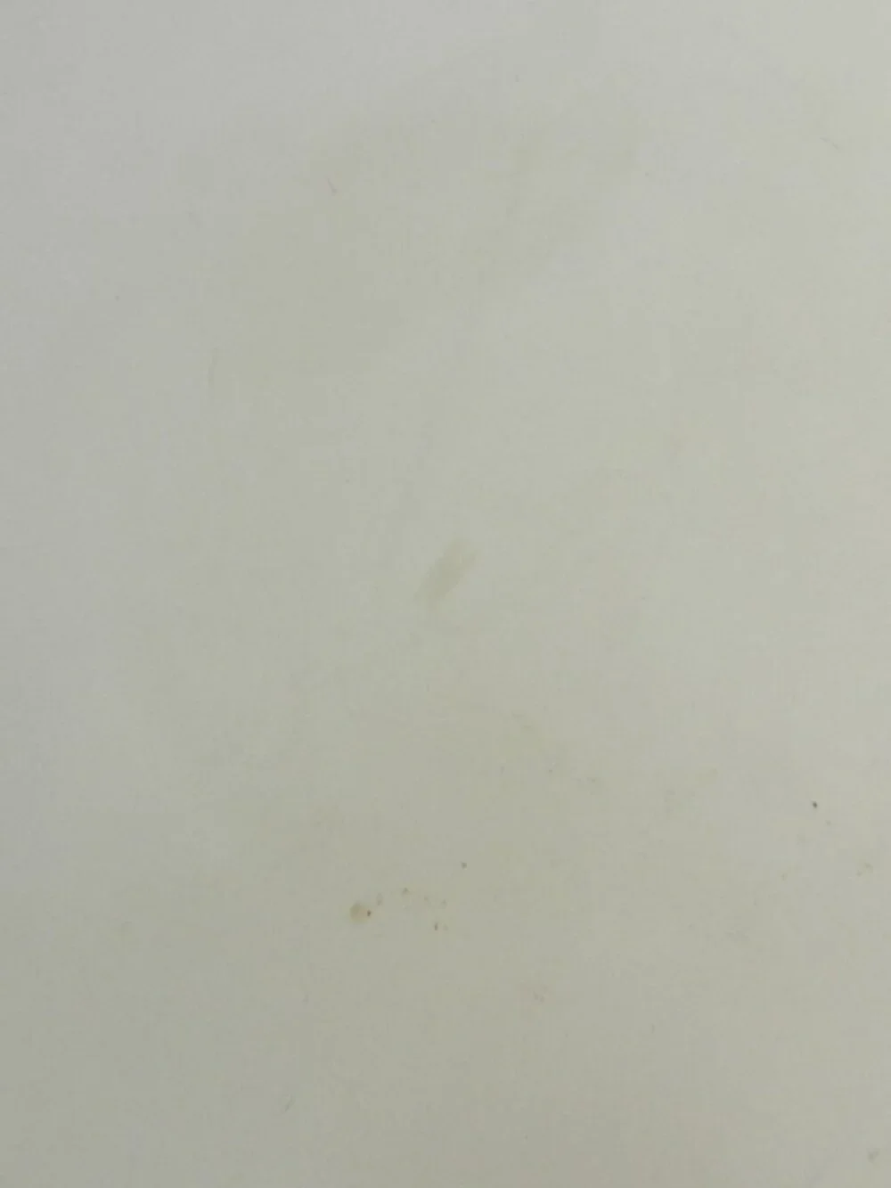 Sassafras Super Stone 3620 Vintage 13